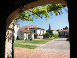 OFFICINA 
MALANOTTE